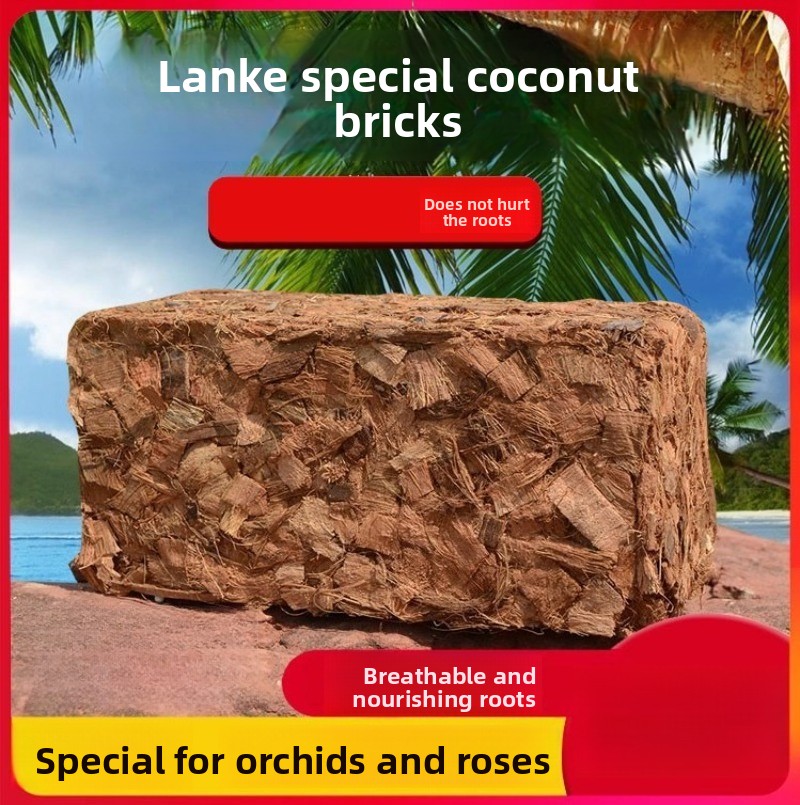 Substrate Coconut Fiber - Tijolo de fibra de coco com