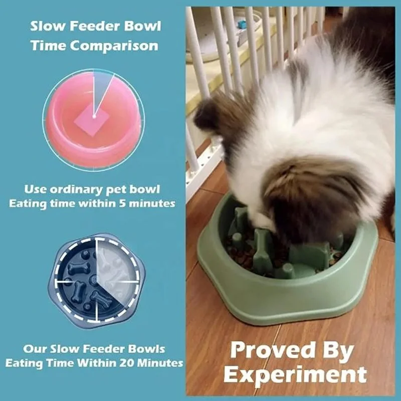 Tigela para Cães com Alimentaç - Royal Canin Food Medium avaliação e preço