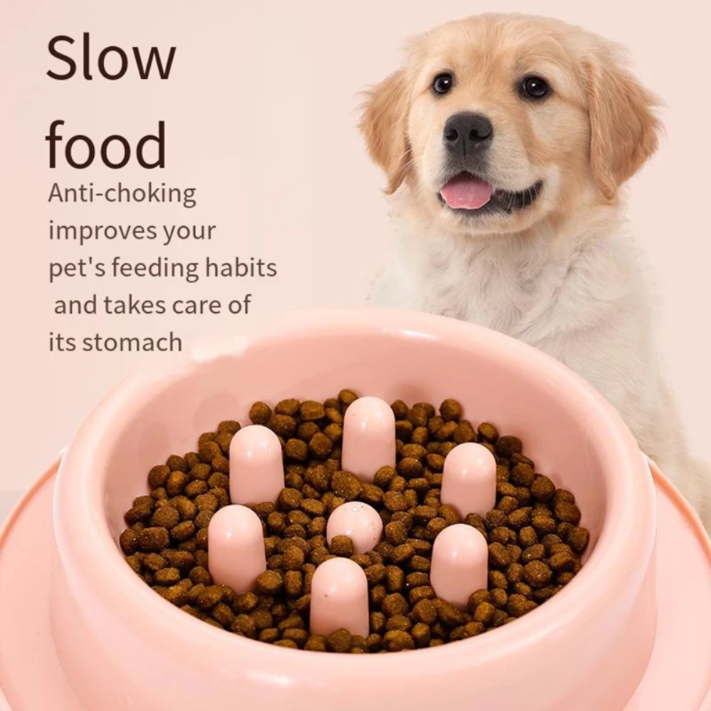 Tigela de alimentação lenta pa - Royal Canin Food Medium avaliação e preço